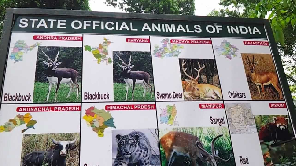List of Animals in India State-wise