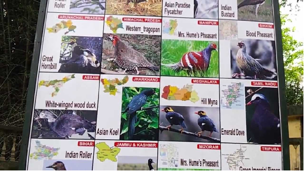 List of State Birds in India